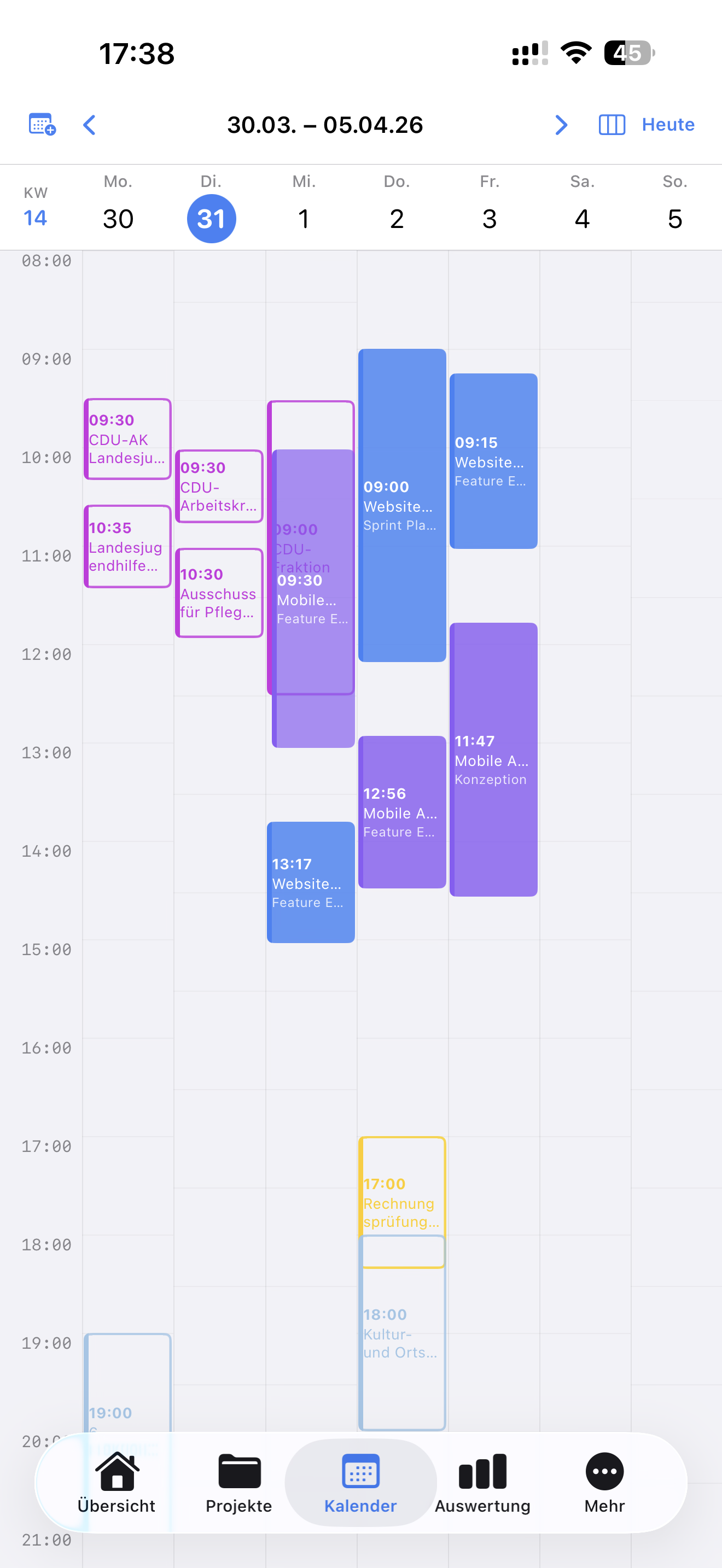 Timenor Kalender mit überlagerten Buchungen