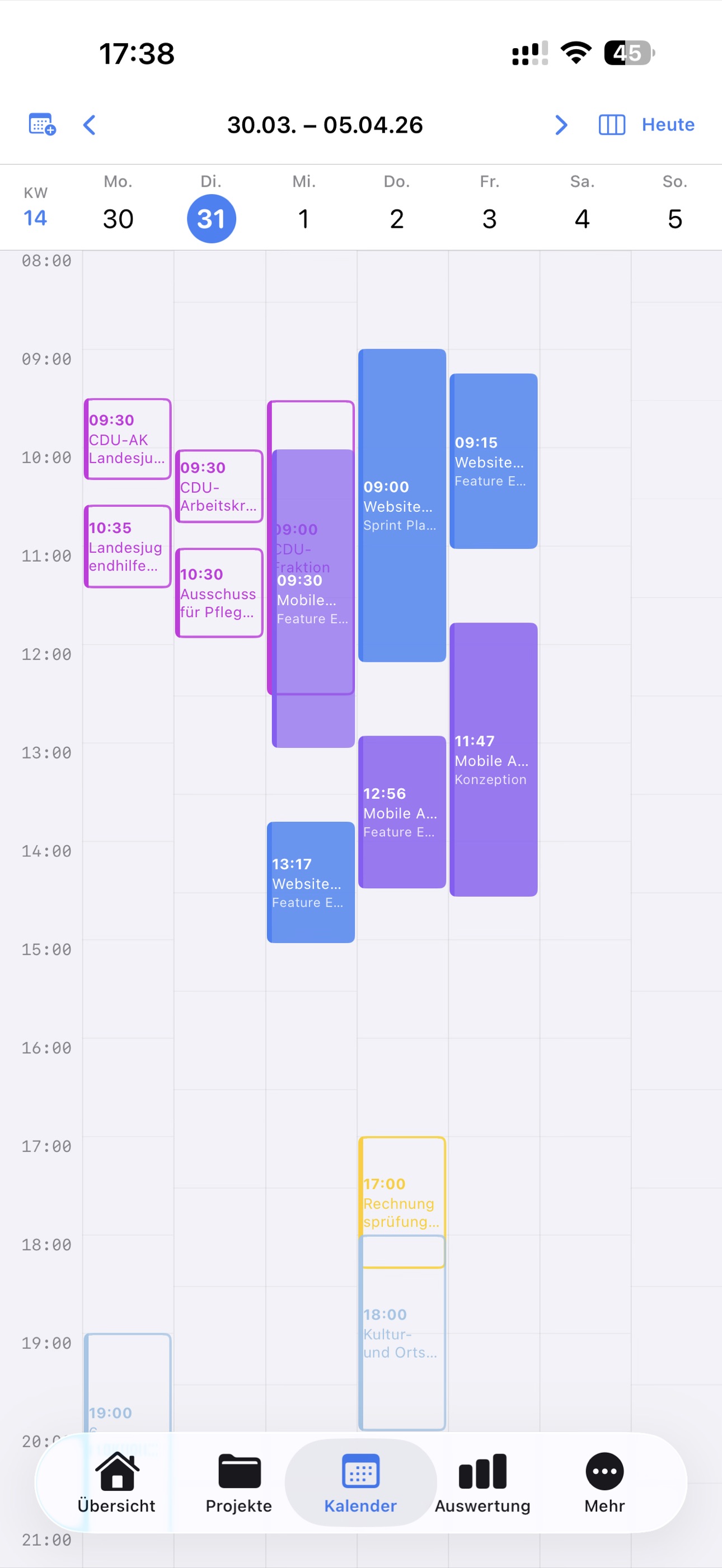 Timenor Kalender mit überlagerten Buchungen